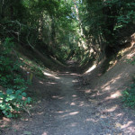 Een holleweg