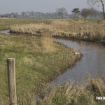 Bakel - De Kaweische Loop van Walsbergweg aankomend bij passage Bakelseweg vormt de grensbeek met Deurne.