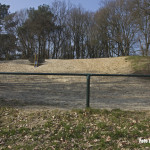 Bakel - Sikkelvormige woestijnduinen omsluiten Bakel 1