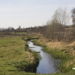 Bakel - Tussen Bakel en Milheeze stroomt de Esperloop langs de golfbaan