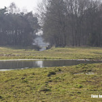 De Mortel - De Snelle Loop bij de Mortelse toren hersteld in de natuurlijke vorm van een beek om te natuur beter te bedienen 1