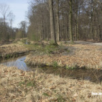 De Rips - In de Stippelberg is een nieuwe natuurlijke beek gegraven waarmee water wordt aangevoerd uit de Maas waarmee Gemertse beken worden gevuld.