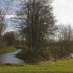 Gemert - De Snelle Loop is een dubbele loop met een houtwal in het midden als grensbeek met Laarbeek