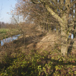 Gemert - De Snelle Loop vormt de grensbeek met Laarbeek. Een bijzondere dubbele loop met een houtwal in het midden bij de Derde Steeg